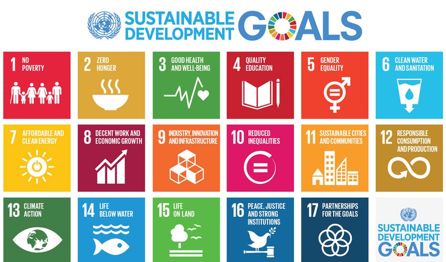 ¿Qué significan los Objetivos de Desarrollo Sostenible de las Naciones Unidas para los negocios?