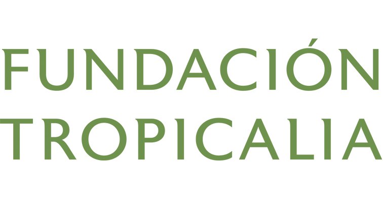 Access to International Financing Promising for Fundación Tropicalia and Tropicalia