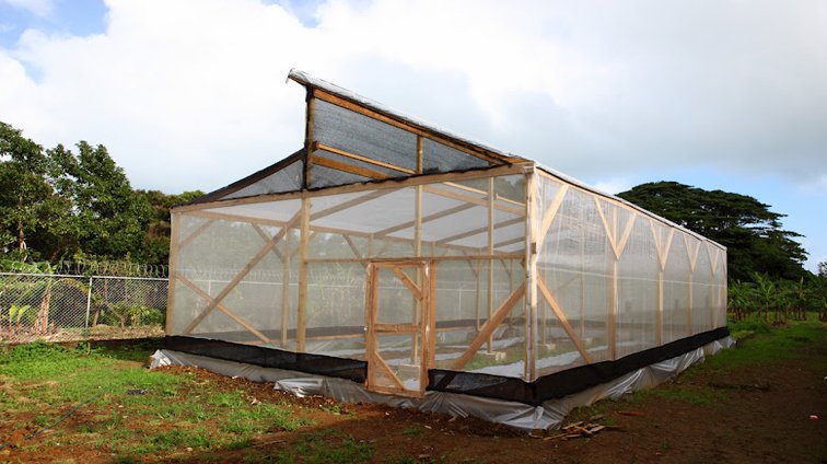 USAID/REDDOM and Fundación Tropicalia Bring Greenhouses to Miches